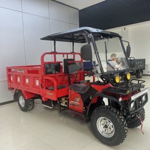 Motor de Gasolina de Gran Potencia y Calidad OEM/ODM, Suministro de Fábrica, 250CC, Nuevo UTV de Cuatro Ruedas para Uso Agrícola, <span class=keywords><strong>Quad</strong></span> - Product Image 2
