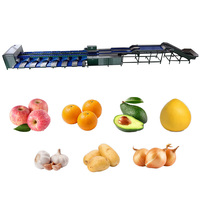 Apparatuur voor het sorteren van fruit en groenten