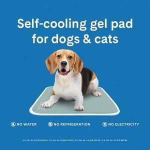 Tapis rafraîchissant pour chien, échantillon gratuit, petit format - Tapis rafraîchissant pour animaux de compagnie activé par la pression, pour chiens et chats, pour animaux de petite taille - Gel non toxique - Product Image 3