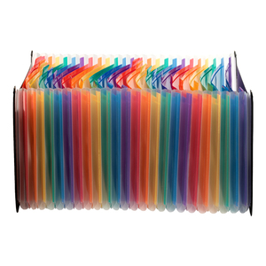 24 Grid Rainbow Telescopic Rope Buckle Long A4 <strong>Expanding</strong> <strong>File</strong> Organizer Plastic Documents Binder Leather PP <strong>Box</strong> <strong>File</strong> Style - Product Image 2