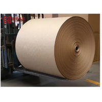 Papier de base brun pour coussinets de refroidissement, rouleau de papier kraft 95 g/m² 740 mm pour la production de coussinets de refroidissement, rideaux humides, élevage de volailles et de bétail