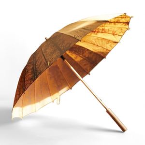 Chinese Hot Selling Classical Long Handle Auto Open Solid Wooden Straight <b>Umbrella</b> for Gifts - Product Image 2