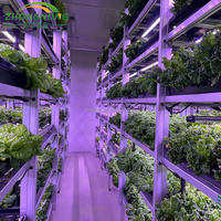 Système d'agriculture hydroponique verticale intelligente, laitue, ferme en conteneur maritime de 40 pieds pour la production de légumes, vente au Moyen-Orient