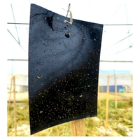 Landbouwkassen Zwarte Kleverige Val Plaaginsecten Moordenaar Bestrijding Buiten Zwarte Kleverige Val Lijmbord Insectenvanger