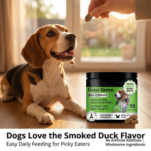Masticables Naturales de Hierba para Perros con Probióticos y Multivitaminas, Neutralizador de Orina, Golosinas para el Césped, Suplementos para la Salud Urinaria e Intestinal - Product Image 5