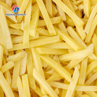 Équipement pour Frites et Chips de Pommes de Terre à Vendre Machine de Découpe TS Q128