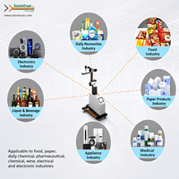 Solución de Diseño de Línea de Empaquetado Llave en Mano para Automatización de Fábrica |   Paletización, Embalaje en Cajas, Transporte y Integración de Robótica Inteligente