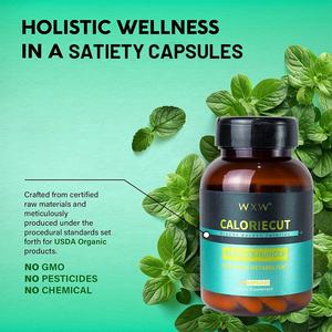 Slim Plus Brûleur de Graisse Coupe-Faim Complément Alimentaire en Capsules Pilules Keto Capsules Brûle-Graisse Sensation de Saturité - Product Image 2