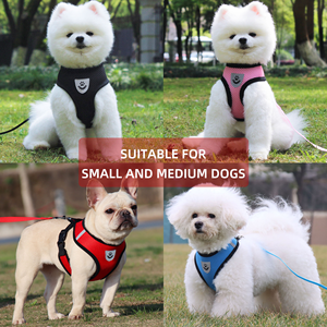 All Season Anti-Choke Cat Breathable Basic Mesh Vest Easy Control Lightweight Chest Dog Pet Leash & Harness with Leash Set - Product Image 5