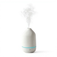 Diffuseur d'huiles essentielles doTERRA, humidificateur ultrasonique silencieux USB, aromathérapie aux ions négatifs, protection contre l'ébullition à sec, excellent diffuseur domestique