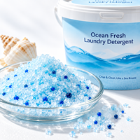 Lessive en poudre concentrée écologique Lavande Citron Nettoyage en profondeur Faible mousse OEM/ODM Marque privée Emballage personnalisé