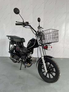 รถจักรยานยนต์รถจักรยานยนต์ขนาดเล็กในปี50cc-<span class=keywords><strong>110cc</strong></span> - Product Image 3