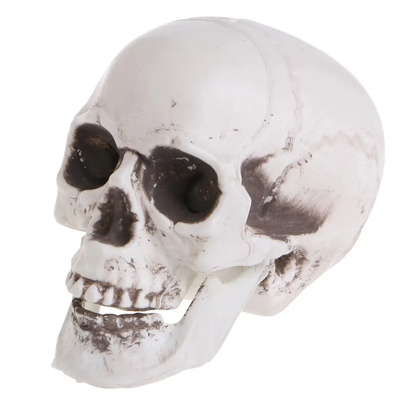New style high quality plastic skeleton scary reloj human halloween skeleton for halloween decorations