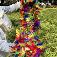 Vente en gros de boas en plumes de dinde Chandelle de 60g et 2 yards pour spectacles, danse, fêtes, événements et décorations de Noël