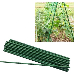 Intraoculaires de <span class=keywords><strong>Support</strong></span> de tomate recouvert de plastique, avec Tube en acier revêtu de plastique, <span class=keywords><strong>plantes</strong></span> <span class=keywords><strong>grimpantes</strong></span>, nouveauté - Product Image 5