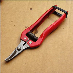 Tijeras de poda Tokunosuke de cabeza recta para frutas, con hoja de acero al carbono de 55 mm, para uvas, tomates y flores. - Product Image 4