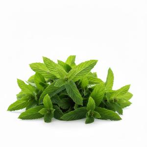 TW Peppermint PDRN Advanced Plant Derived Cooling Complex, Materia Prima Cosmética Líquida, Base para el Cuidado de la Piel, Calmante y Purificante - Product Image 1