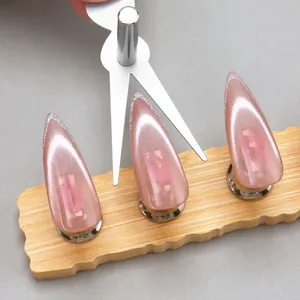 Juego de 6 Herramientas Magnéticas para Uñas Ojo de Gato, Imanes para Uñas Francesas con Forma de Corazón, Herramientas Magnéticas para Esmalte de Uñas Ojo de Gato, Herramientas de Manicura - Product Image 2