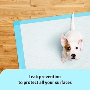 Tapis absorbants jetables pour animaux de compagnie, tapis sain pour l'apprentissage de la propreté des chats et des chiens, tapis anti-fuites - Product Image 6