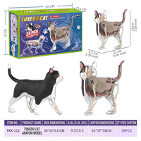 Modèle d'anatomie réaliste de chat bleu, jouet éducatif interactif STEM pour les démonstrations en classe de sciences et d'ingénierie