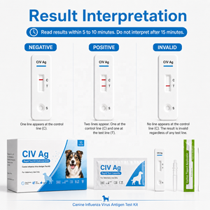 Kit per Test Rapido dell'Antigene del Virus dell'Influenza Canina A, Tampone Nasale per Screening Veterinario della Grippa Canina - Product Image 3