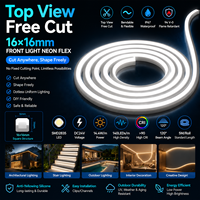 Bande Néon Flexible 5M/Rouleau à Découper, 16*16MM, Effet de Vue Plongeante, DC24V, Étanche IP67, Haute Luminosité, Découpable à Toute Longueur pour Tous Projets