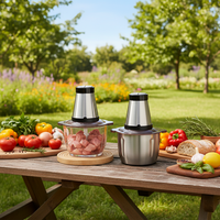 Mini hachoir à viande électrique en acier inoxydable, hachoir alimentaire domestique, moteur à courant continu, vitesse variable, capacité de 2,1 à 3 L, puissance de 500 W, faible bruit