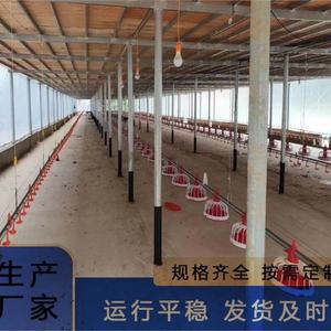 <span class=keywords><strong>Broiler</strong></span> ebeveyn stok için otomatik kanatlı besleme makinesi motorlu hayvan kafesleri ile tarım damızlık ev zincir sistemi kullanılır - Product Image 4