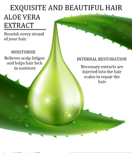 Best-seller 500ml <span class=keywords><strong>Gel</strong></span> <span class=keywords><strong>douche</strong></span> bio à l'aloe vera pour <span class=keywords><strong>femme</strong></span> Crème nettoyante naturelle nourrissante et rafraîchissante pour le corps Bulle blanchissante pour - Product Image 3