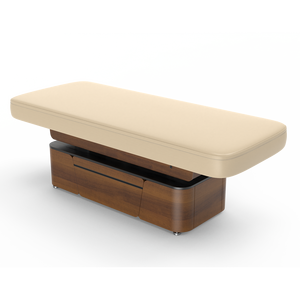 Lynn-Heaven Meubles de salon de luxe Zingana Placage Réglage électrique Visage Cosmétique Beauté Massage Lit SPA Table de traitement - Product Image 4