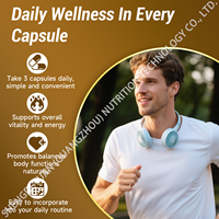 Vente en gros OEM Marque privée 2600MG Capsules de complexe de champignons Compléments alimentaires pour le système immunitaire adulte Soutien de la mémoire 120 capsules par