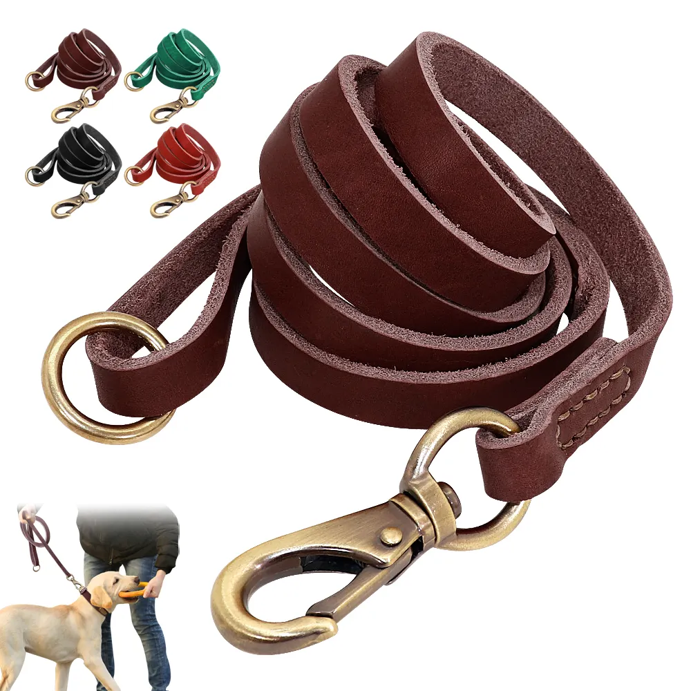 Personalized Genuine Leather Braided Pet Dog Leash for Large Dog