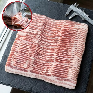 Trancheuse à viande congelée commerciale pour boucherie, supermarché, restaurant, coupe-viande industriel pour bacon et steak, SUS304, CE - Product Image 2