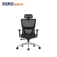 EGROspace Solutions de Bureau Tout-en-un, Chaise de Bureau Ergonomique Pivotante Confortable en Maille pour Cadres