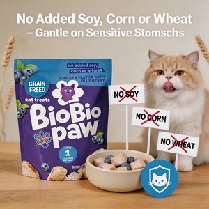 Golosinas para Gatos Bajas en Calorías OEM/ODM, 1 Caloría por Unidad, Sabor a <span class=keywords><strong>Pollo</strong></span> y Arándanos, Textura Crujiente, Favorece la Salud Bucal - Product Image 3