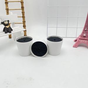 Pot de fleurs en plastique blanc avec couvercle 5,5 pouces, style simple, pour plantation intérieure et extérieure, décoration de jardin - Product Image 3