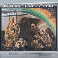 Pierre naturelle brute écologique 5W Dragon Stone Ohko pour aquarien, aménagement paysager, rocaille, bonsaï, décoration d'aquarium et de plantes aquatiques