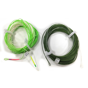 สายเอ็นตกปลา100FT WF2 3 4 5 6 7 8 9สายเอ็นตกปลาบินเสริมน้ำหนักแม่น้ำสายเอ็นตกปลาบินไปข้างหน้าดีไซน์ใหม่2025 - Product Image 1