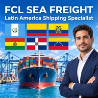 Agent maritime transitaire FCL Transport maritime en conteneur Chine vers le Venezuela, le Chili, le Guatemala Dédouanement complet des conteneurs importés