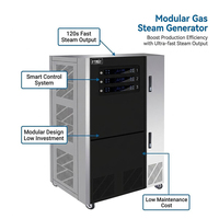 Caldera de Vapor Modular de Gas Natural 0.7MPa 180KW 250kg/h, Acero Inoxidable 304, Ahorro de Energía 20-40% para Cocina Comercial de Restaurante
