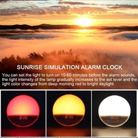 Despertador Inteligente con Luz Nocturna para Niños, Despertador Analógico Retro LED con Simulación de Amanecer, Reloj Despertador para Levantarse