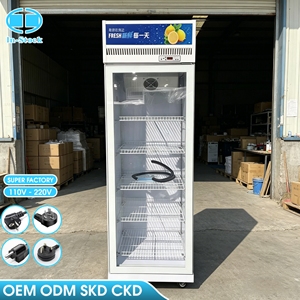 Réfrigérateur commercial vertical à porte unique 388L OEM/ODM, grande capacité, refroidissement par air, sans givre, pour boissons - Product Image 2