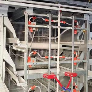 Profesyonel kaliteli <span class=keywords><strong>h</strong></span>-tipi tam otomatik Broiler et tavuk yetiştiriciliği için pil damızlık kafes tavuk <span class=keywords><strong>Coop</strong></span> tayland - Product Image 1