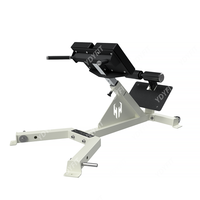 Machine de musculation en acier inoxydable pour salle de sport - Équipement d'exercice d'extension du bas du dos à 45 degrés avec option de logo personnalisé