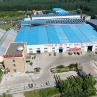 Endüstriyel Gezegensel Karıştırıcılı Kettle Otomatik Sos Pişirme Makinesi Acı Biber Salçası, Dana Eti ve Mantar Sosu Üretimi İçin