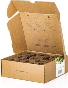 Click Grow Lot de 9 petits pots en plastique minimalistes pour la décoration intérieure et le centre commercial. - Product Image 1