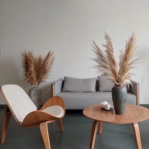 Grandes fleurs de pampa séchées naturelles et préservées, moelleuses et hautes, pour la décoration de mariage - Product Image 3