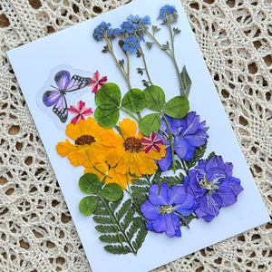Fleurs séchées pressées pour enfant, nouveau Design, Art DIY, papillon et <span class=keywords><strong>plantes</strong></span> sèches, fleurs naturelles 2022 - Product Image 6