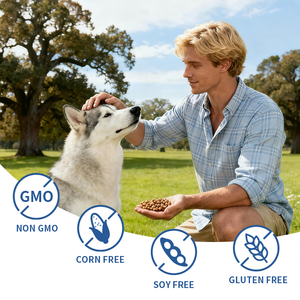 Gouttes immunitaires pour animaux de compagnie, soutien immunitaire et santé du foie, liquide pour chiens et chats, complément tout-en-un, gouttes immunitaires - Product Image 3