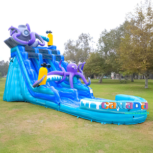 Toboggan aquatique gonflable commercial économique, grand modèle Poulpe, double piste <span class=keywords><strong>avec</strong></span> <span class=keywords><strong>piscine</strong></span>, pour adultes et enfants, pour le jeu estival - Product Image 1